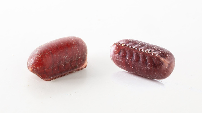 cockroach egg capsules