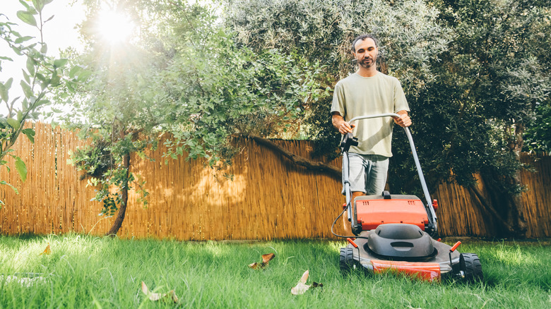 Man pushing lawnmower in fenced backyard