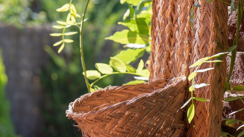 Empty hanging basket in front of green garden