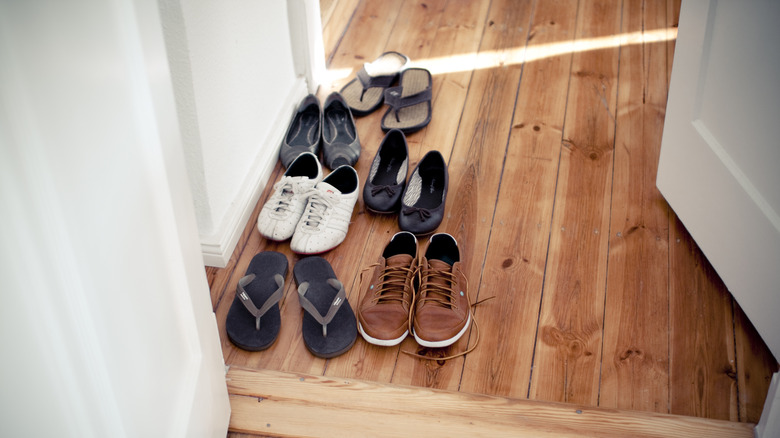 Sandals, flats, and sneakers lining a hardwood floor