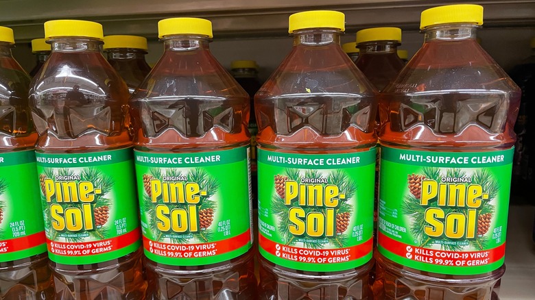 Bottles of Pine-Sol on shelf