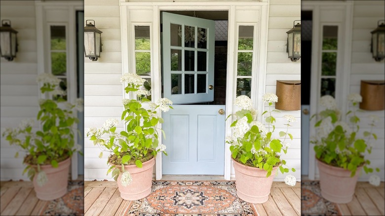 Dutch door painted blue