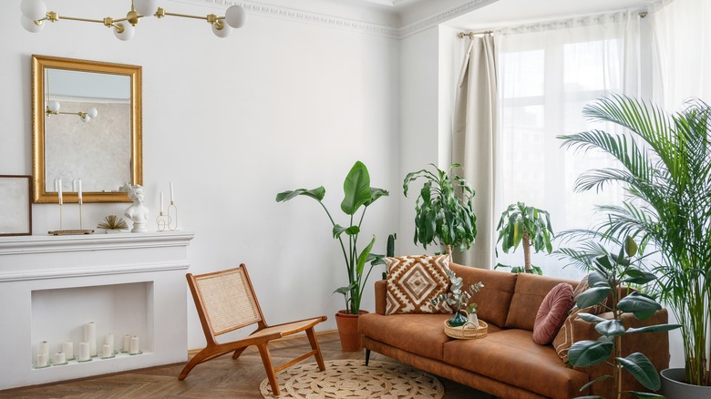 Bright living room with plants