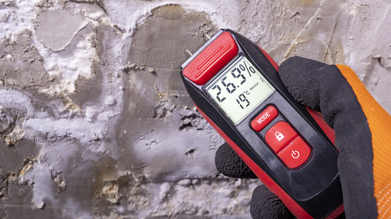 A pin-type moisture meter in hand