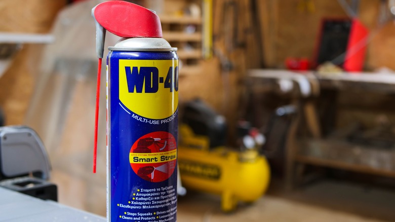 Can of WD-40 in garage
