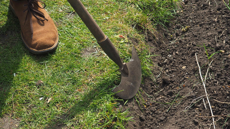 gardener using shovel