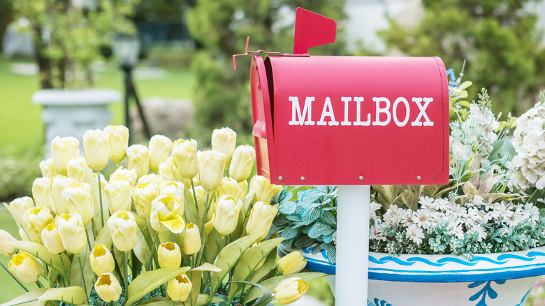 Mailbox by flowerbed