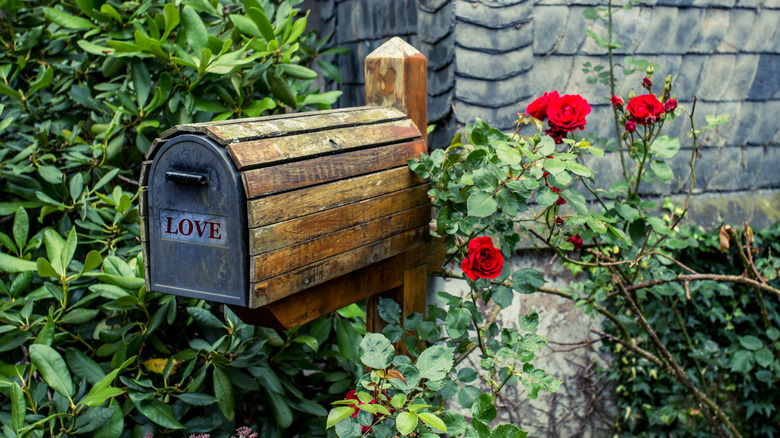 Mailbox in garden