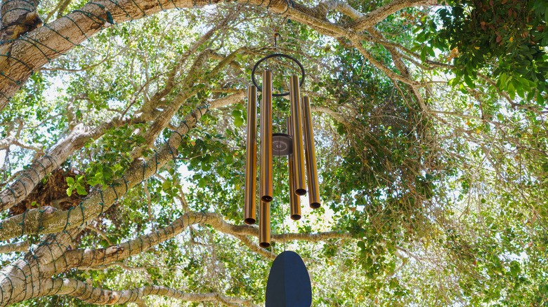 Wind chimes hang from a tree