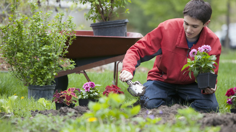 Someone planting flowers