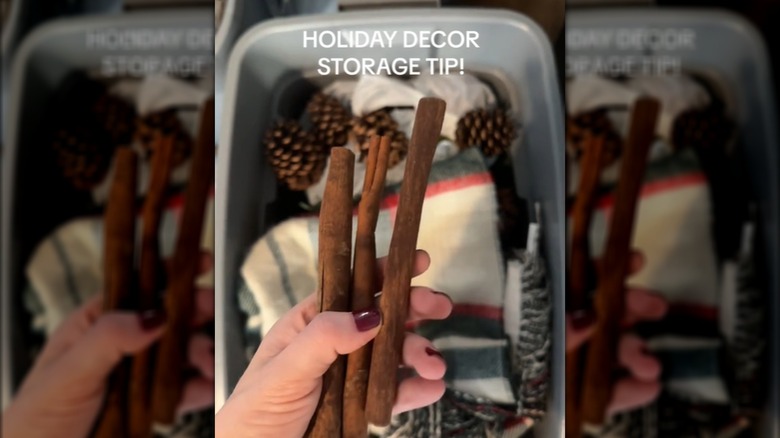 Cinnamon sticks above open storage bin with holiday decor