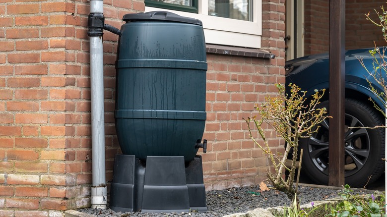 rain barrel next to house