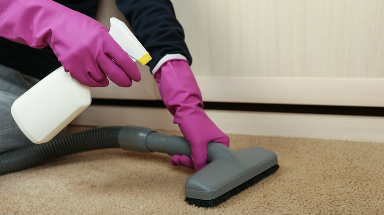 vacuum cleaning brown carpet 