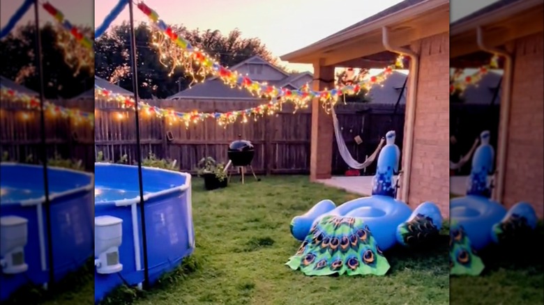 backyard pool noodle string lights