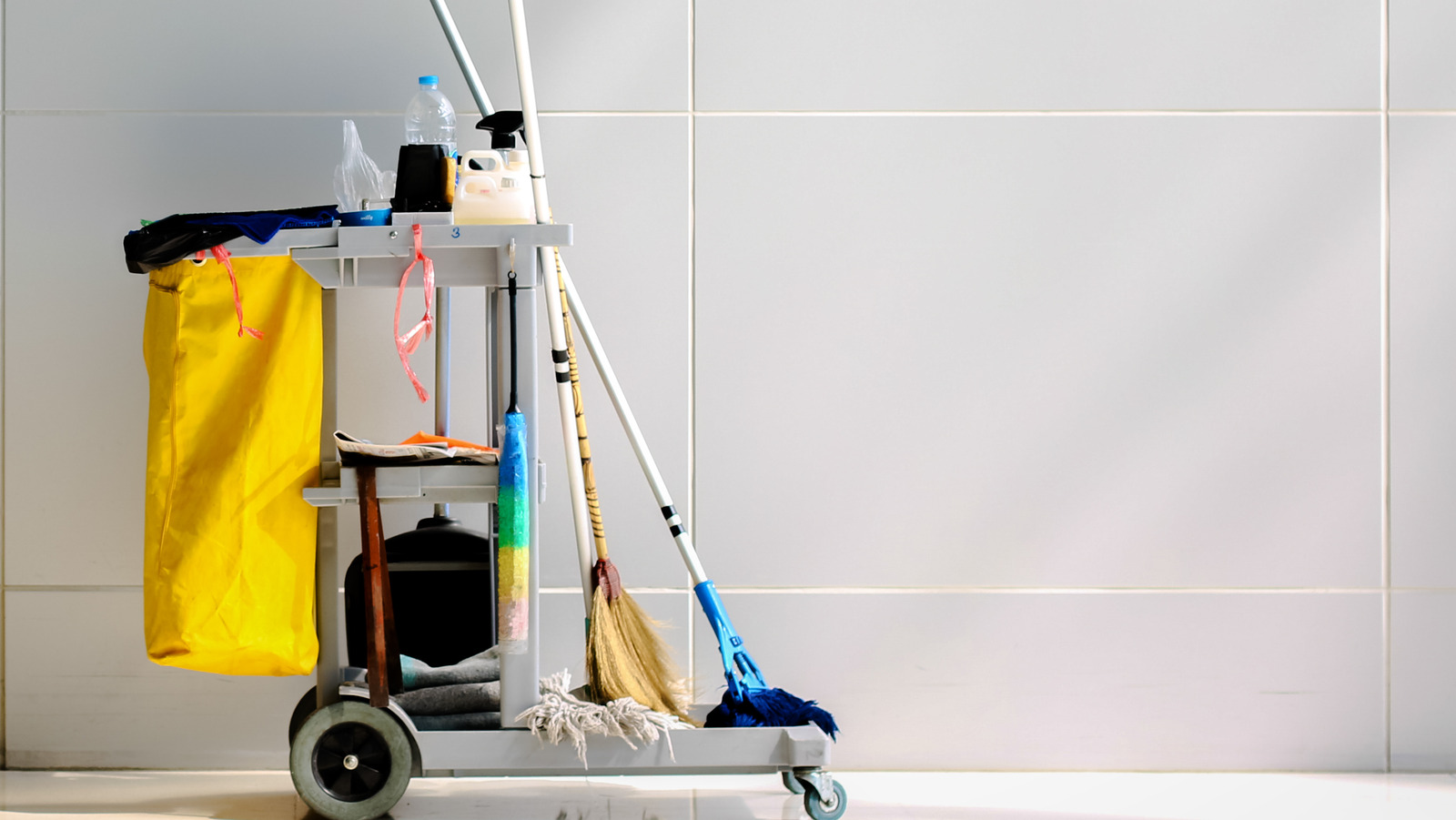 https://www.housedigest.com/img/gallery/the-genius-way-a-pool-noodle-can-store-your-cleaning-supplies/l-intro-1688931706.jpg