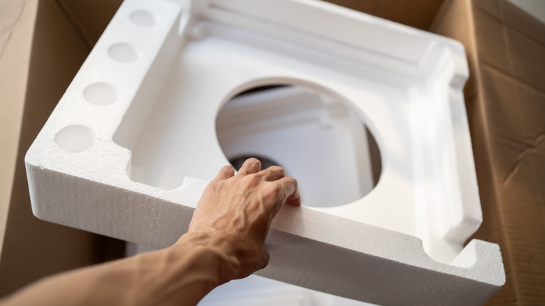 person holding Styrofoam