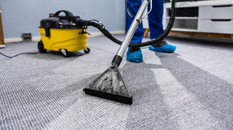 Person cleaning carpet