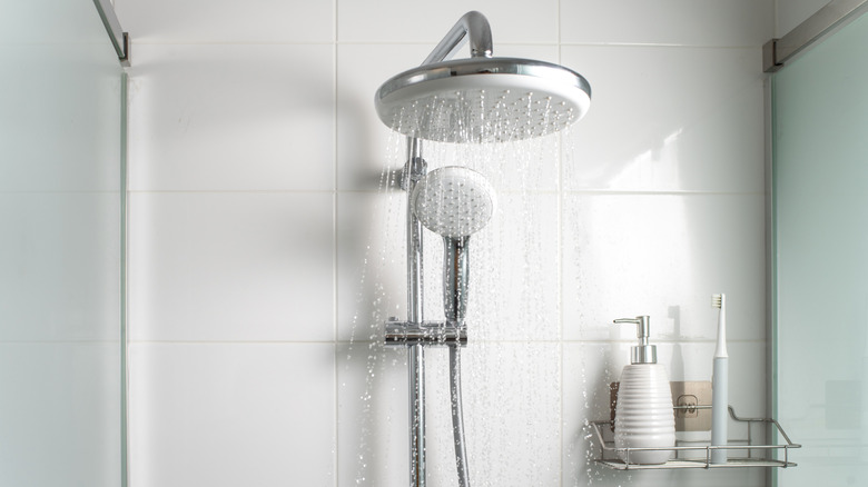 Bathroom shower with frosted glass walls