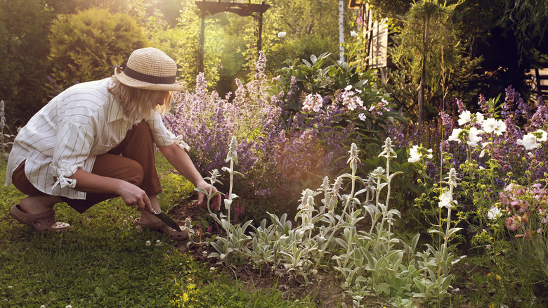 woman working in flower bed