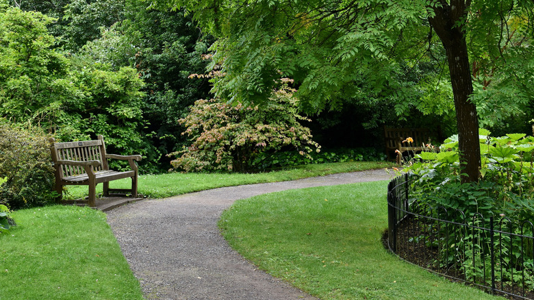 A gravel path winding through a large garden with trees, shrubs, lawns and a park bench.