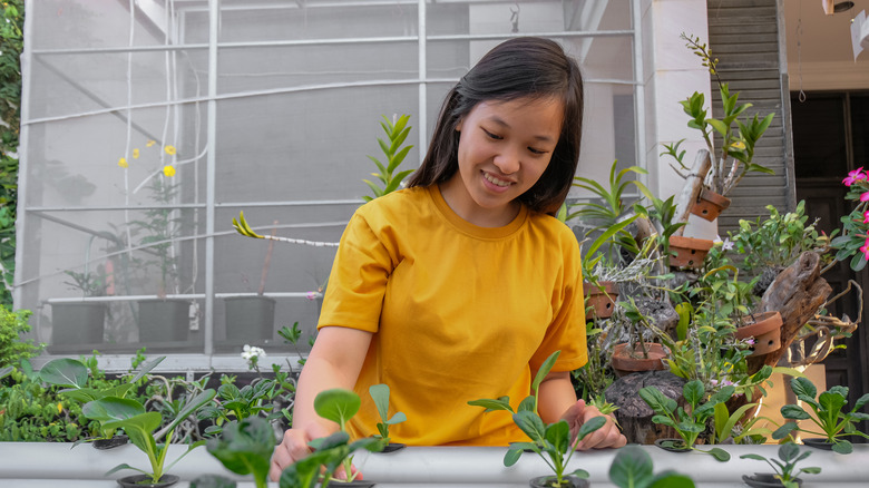 Woman working with plants