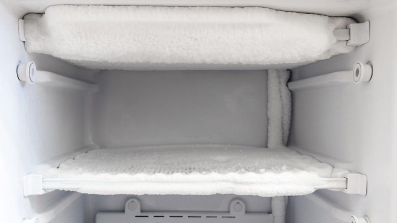 empty home freezer