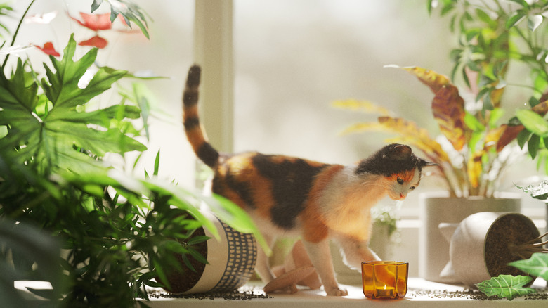 cat knocking over plants candle