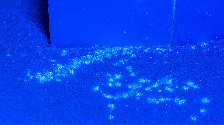 Illuminated flourescent stains on flooring