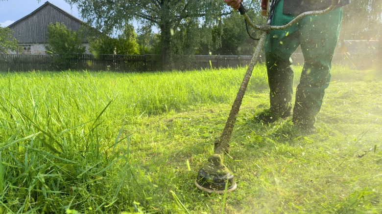 person using a grass trimmer