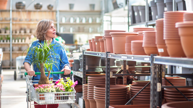 woman shopping at garden center