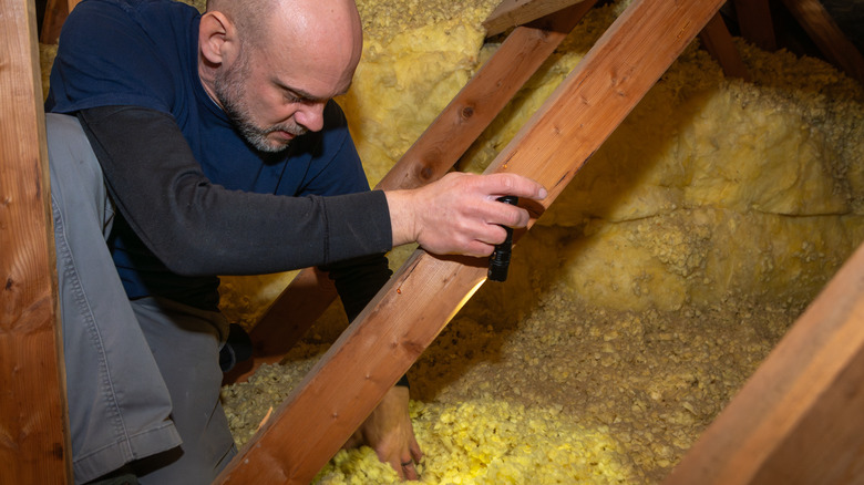 man checking insulation for mold