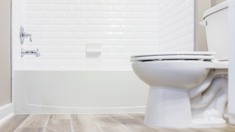 Difficult-to-clean toilet space