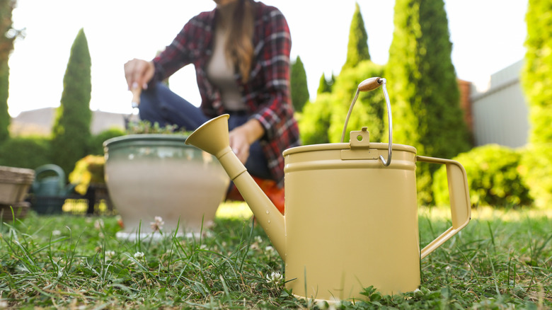 A woman gardener works on plants in the background as a yellow watering can sits in the foreground.