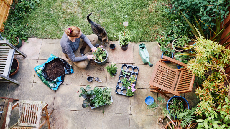 A red-haired woman works on potting plants on her patio.