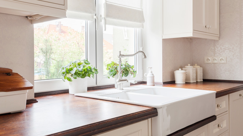 Basil growing near kitchen sink