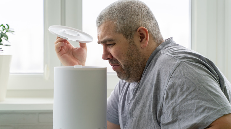 scale built up in humidifier