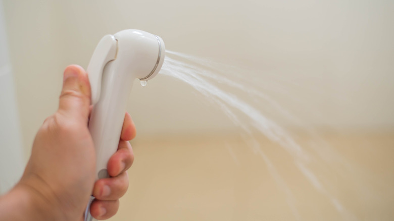 bidet sprayer in person's hand