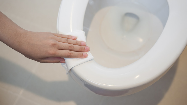 person cleaning toilet seat