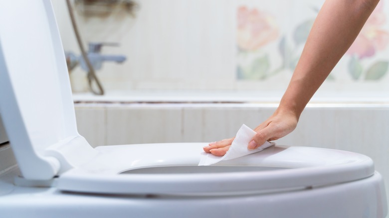 Person cleaning toilet seat