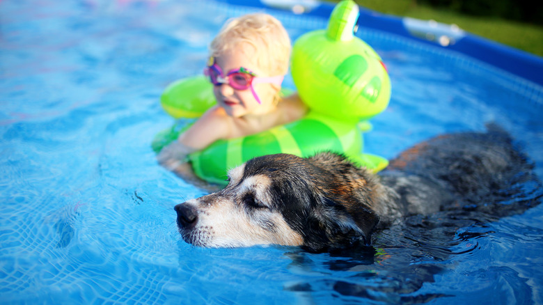 dog and child swimming