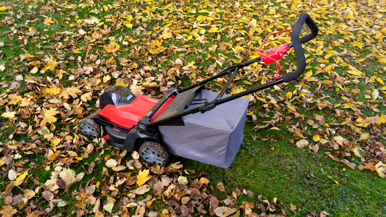 mower with fallen leaves