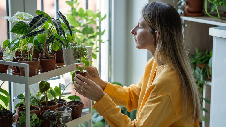 A woman is holding a small potted plant in front of a two-level cart that holds many other potted houseplants.