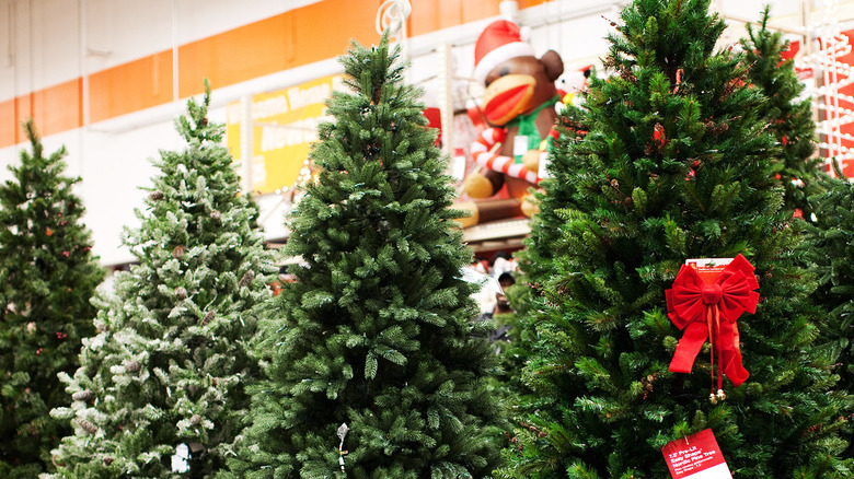 Garden center Christmas trees