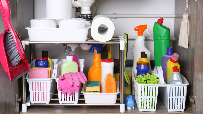 Cleaning supplies being stored under a kitchen sink