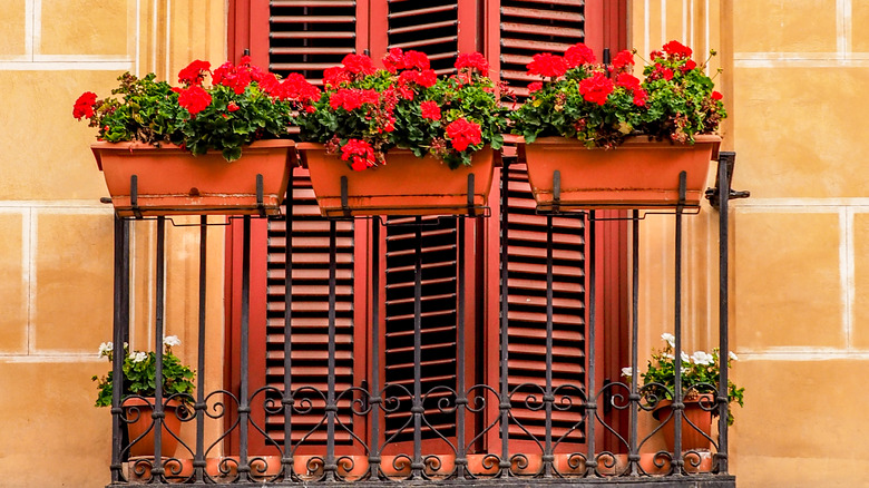 Juliet balcony