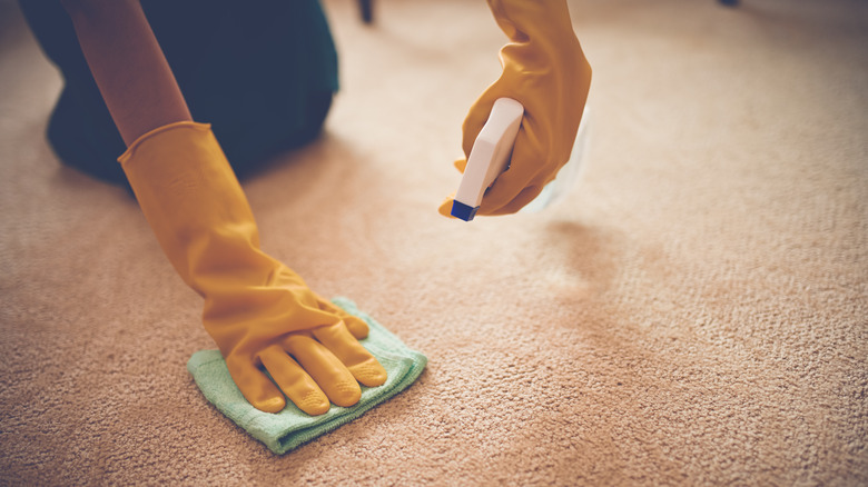 hands cleaning carpet 