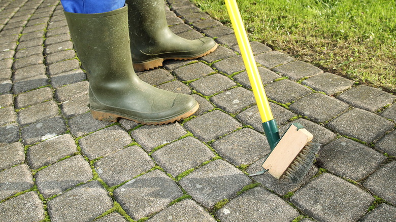 Person brushing moss from pavers