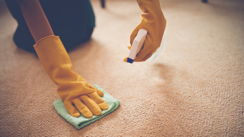 person removing stain from carpet