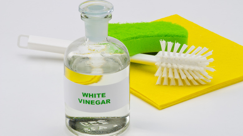 white vinegar cleaner and brush