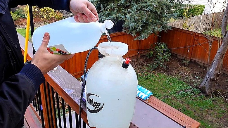 Putting vinegar in handheld sprayer